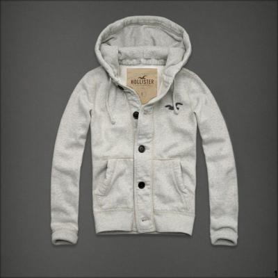 Hollister Men Hoodies-99